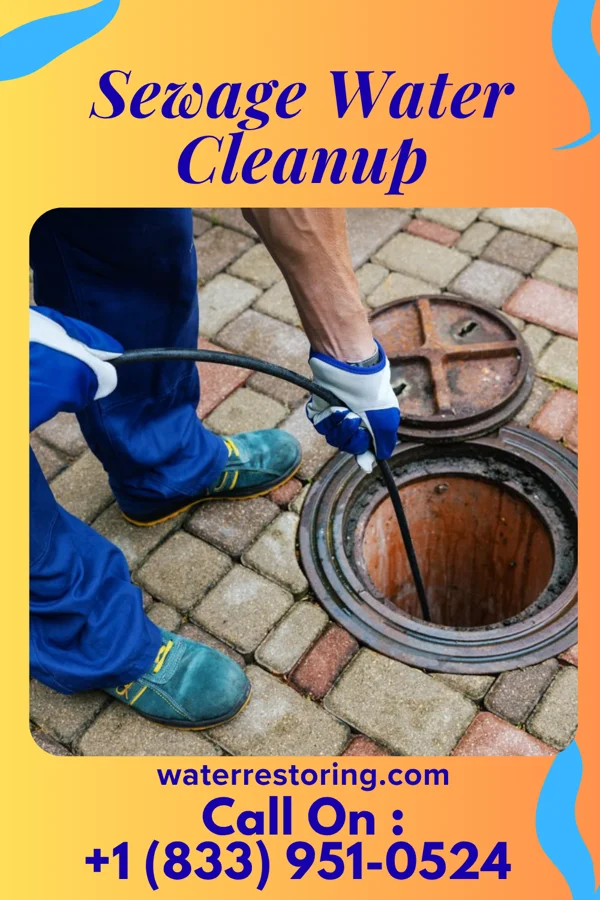 Sewage Water Cleanup in Lincoln, MI